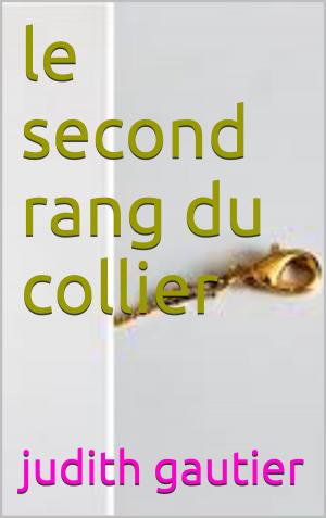 Cover of the book le second rang du collier by de berangean