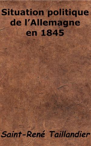 Cover of the book Situation politique de l’Allemagne en 1845 by Émile Saisset