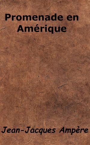 Cover of the book Promenade en Amérique by Saint-René Taillandier