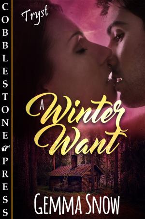 Cover of the book A Winter Want by Anna Leigh Keaton