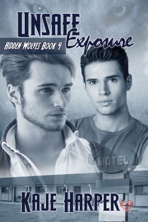 Cover of the book Unsafe Exposure by Eva Lefoy