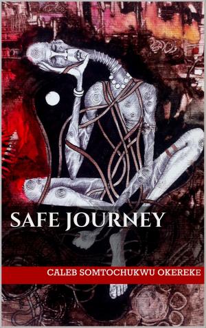 Cover of the book Safe Journey by Paola Drigo