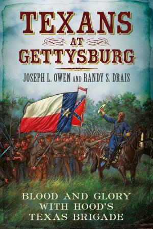Cover of the book Texans at Gettysburg: Blood and Glory with Hood's Texas Brigade by John Van der Kiste