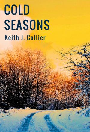Cover of the book Cold Seasons by Julien Lezare