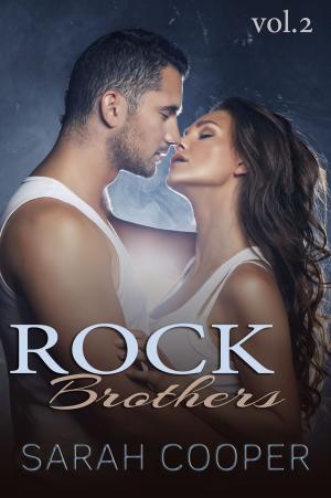 Book cover of Rock Brothers, vol. 2