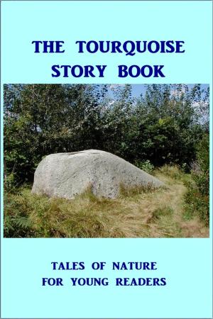 Cover of the book The Tourquoise Story Book by Harry Castlemon