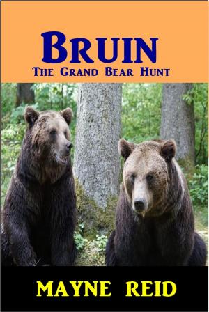 bigCover of the book Bruin by 