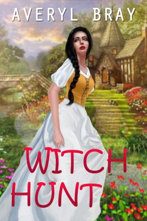 Cover of the book Witch Hunt by Derek Jones