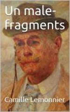 Book cover of Un male-fragments