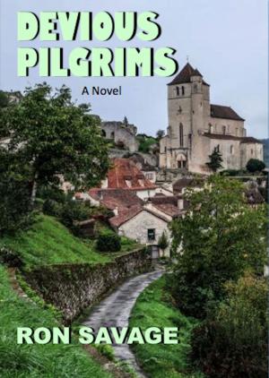 Cover of the book Devious Pilgrims by Jake Hinkson