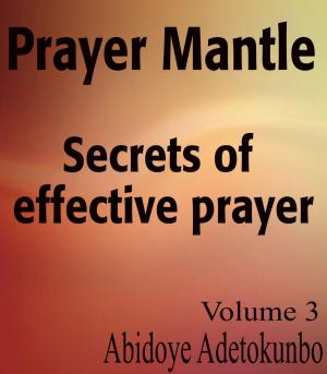 Cover of the book Prayer Mantle by Adetokunbo Abidoye