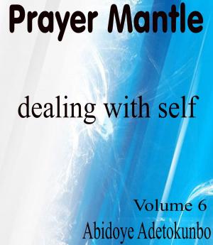 Book cover of Prayer Mantle