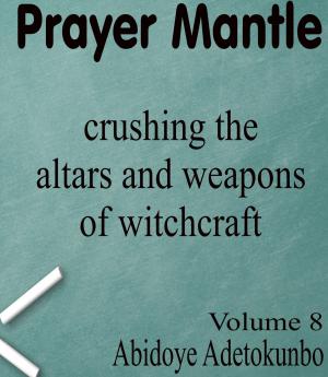 Cover of the book Prayer Mantle by Gail Harkins