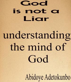 Cover of the book God is not a Liar by Adetokunbo Abidoye
