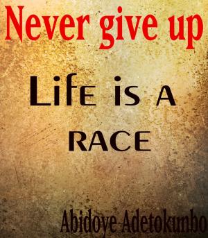 Book cover of Never give up