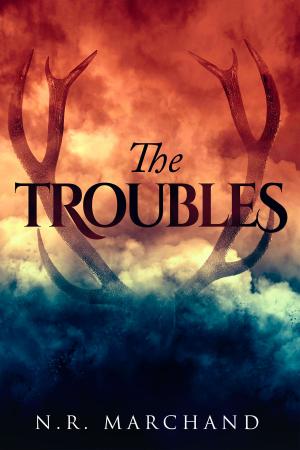 Cover of the book THE TROUBLES by Julie Bozza