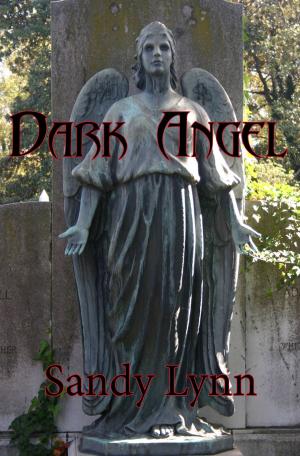 Cover of the book Dark Angel by Crispen Swayne