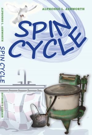 Cover of the book Spin Cycle by Peter Sinclair