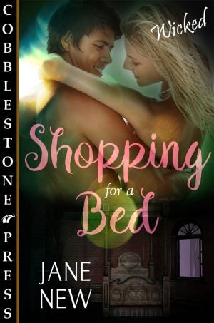 Cover of the book Shopping for a Bed by Amanda St. John