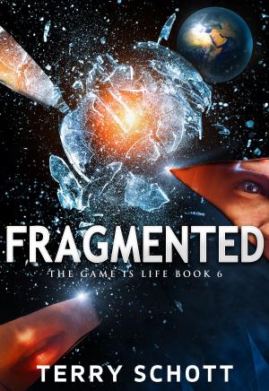 Cover of the book Fragmented by Andrew Woodmaker