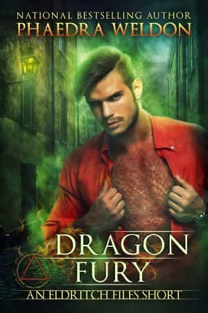 Cover of the book Dragon Fury by Ainsley Booth, Sadie Haller