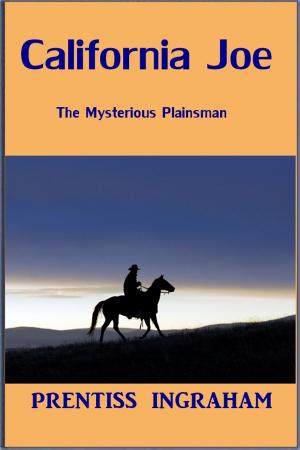 Book cover of California Joe, the Mysterious Plainsman