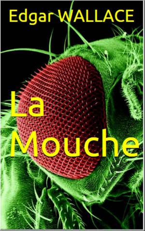 Cover of the book La Mouche by Alphonse Daudet