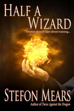 Book cover of Half a Wizard