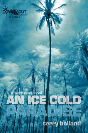 Cover of the book An Ice Cold Paradise by Martin Bodenham