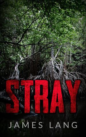 Cover of the book Stray by A. F. Morland, Uwe Erichsen, Cedric Balmore