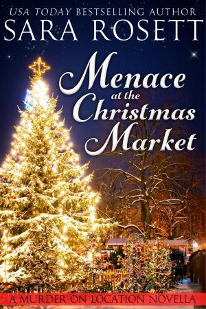 Cover of the book Menace at the Christmas Market by Sara Rosett