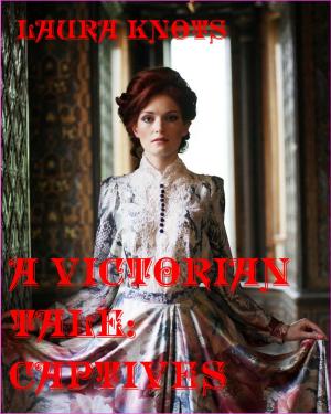 bigCover of the book A Victorian Tale: Captives by 