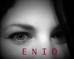 Cover of the book ENID by Chad Taylor