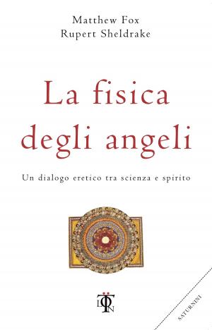 Cover of La fisica degli angeli