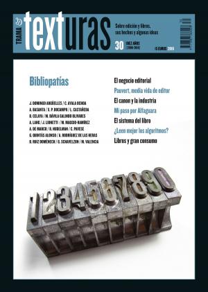 Cover of the book Texturas 30 by Francisco Javier Donaire Villa, Antonio José Planells de la Maza