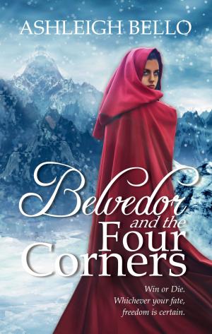 Book cover of Belvedor and the Four Corners