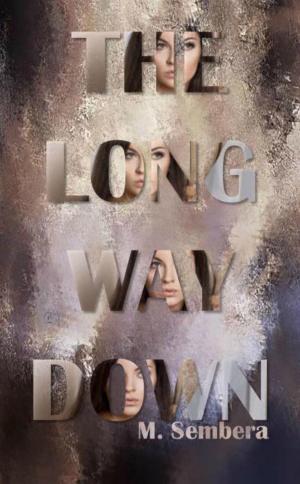 bigCover of the book The Long Way Down by 