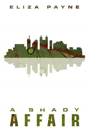 Cover of the book A Shady Affair by Kira Johns