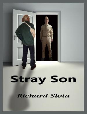 Cover of Stray Son