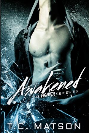 Cover of the book Awakened by Lee R Jackson
