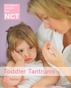bigCover of the book Toddler Tantrums (NCT) by 