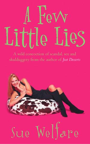Cover of the book A Few Little Lies by Caroline Carlson
