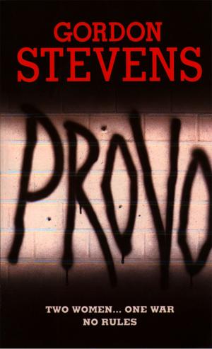Cover of the book Provo by Gordon Lewis, Andrew Crofts