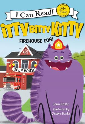 Book cover of Itty Bitty Kitty: Firehouse Fun