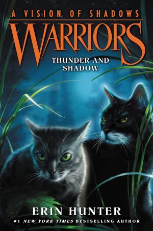 Cover of the book Warriors: A Vision of Shadows #2: Thunder and Shadow by A Hillis, P Stone