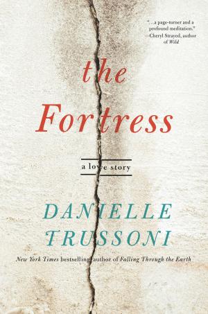Cover of the book The Fortress by Nora McInerny