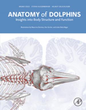 Cover of the book Anatomy of Dolphins by Martin B. B. Hocking