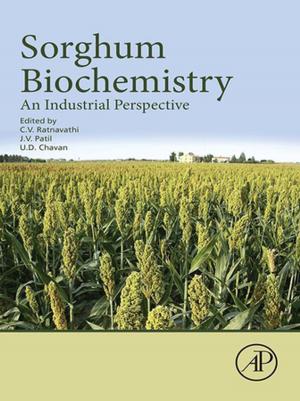 Cover of the book Sorghum Biochemistry by David Rickard