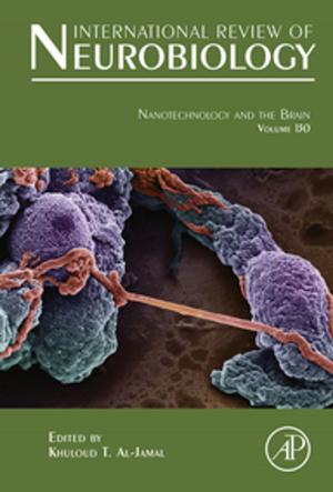 Cover of the book Nanotechnology and the Brain by David O. Norris, Jane H Bock