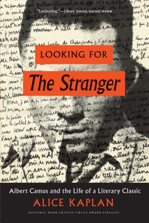 Cover of the book Looking for The Stranger by Mircea Eliade
